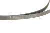 Комплект ременя генератора BMW X1 (F48) 15- B38 A15 INA 529 0516 20 (фото 4)