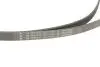 Комплект ременя генератора BMW X1 (F48) 15- B38 A15 INA 529 0516 20 (фото 4)