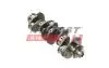 Колінвал Fiat Ducato/Citroen Jumper/Peugeot Boxer (06-)(14-) FAST FT51702 (фото 1)