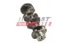 Колінвал Fiat Ducato/Citroen Jumper/Peugeot Boxer (06-)(14-) FAST FT51702 (фото 2)