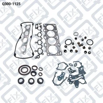 ПРОКЛАДАННЯ ДВИГУНА (К-Т) Q-fix Q300-1125