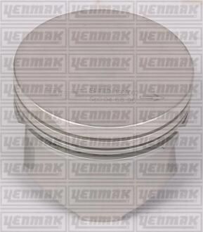 Поршень с кольцами і пальцем RENAULT Kangoo 1.2 (размер отв. 69.5 / +0.5) (DF 7 700/701/702/706/710/720/722/726/720/730/726) Yenmak 31-04155-050
