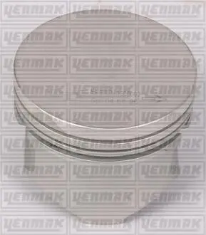 Поршень с кольцами і пальцем RENAULT Kangoo 1.2 (размер отв. 69 / STD) (DF 7 700/701/702/706/710/720/722/726/720/730/726) Yenmak 31-04155-000
