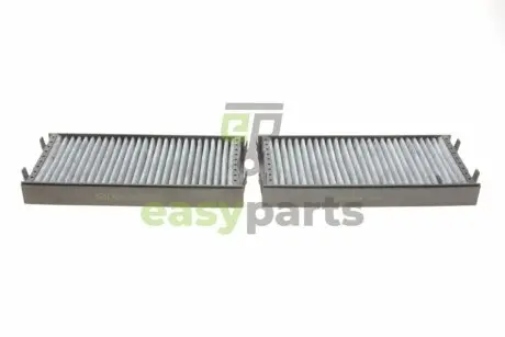 Фільтр салону BMW X5 (E70/F15)/X6 (E71/E72) 2.0-4.8 07- (вугільний) (2шт) Solgy 104056