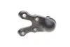 Опора кульова (передня/знизу) Hyundai Terracan 01-06 KAVO PARTS SBJ-3024 (фото 2)