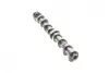 Розподільний вал BMW 5 (F10/F11) 11-16/X5 (F15/F85) 2.0 i (N20) 15-18 (випуск) KOLBENSCHMIDT 50007920 (фото 3)