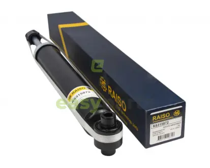 Амортизатор задній BMW 1-4 11- (газ.) RAISO RS315872