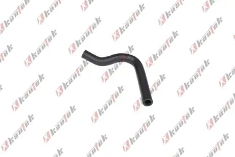 FIAT патрубок системи охолодження Ducato -02, CITROEN Jumper -02 KAUTEK FI-RH175