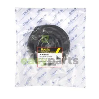 Опора амортизатора заднього Dodge Journey/Fiat Freemont 08- RAISO RC51303