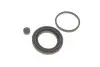 Ремкомплект супорта (заднього) Hyundai Terracan 01-06 (d=43mm) (+поршень) QUICK BRAKE 114-5073 (фото 2)