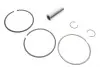 Поршень VW Golf/Passat/Tiguan 2.0 TFSI 04-18 (82.51mm/STD) GAZO GZ-F1333 (фото 4)