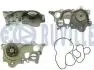 Фото 1 - vw помпа воды polo 1.0, skoda fabia, seat ibiza 1.0tsi 11- RUVILLE 561537 VW Помпа воды Polo 1.0, SKODA Fabia, Seat Ibiza 1.0TSI 11- RUVILLE 561537 (фото 1)