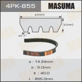 Ремінь поліклиновий 4PK- 855 MASUMA 4PK855