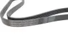 Комплект ременя генератора BMW 3 (F30/F80) 1.5/2.0 B38/B46/B48 15-18 Contitech 6PK1165K1 (фото 2)