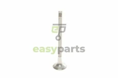 Клапан (випуск) Audi A4/A6/VW Passat 2.5TDI 97-05 (24.2x6x100.5) TRW 331056