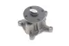 Помпа води Hyundai Accent/Elantra/i20/i30/i40/ix20/Tucson/Kia Ceed/Sportage 1.4/1.6 10- Contitech WPS3139 (фото 2)