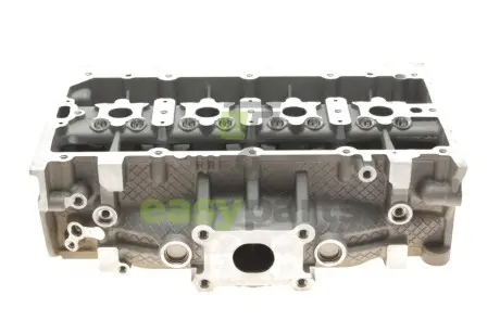Головка блоку циліндрів Audi Q3/VW Caddy IV/Golf VII 1.4 TSI 11- (всередині OE VAG) ROTWEISS 04E103064F
