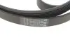 Комплект ременя генератора + помпа BMW 3 (F30/F80)/5 (F10)/X5 (F15/F85)/X6 (F16/F86) 3.0D N57 10-19 Contitech 6PK1698WP2 (фото 5)