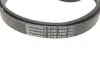 Комплект ременя генератора + помпа BMW 3 (F30/F80)/5 (F10)/X5 (F15/F85)/X6 (F16/F86) 3.0D N57 10-19 Contitech 6PK1698WP2 (фото 6)