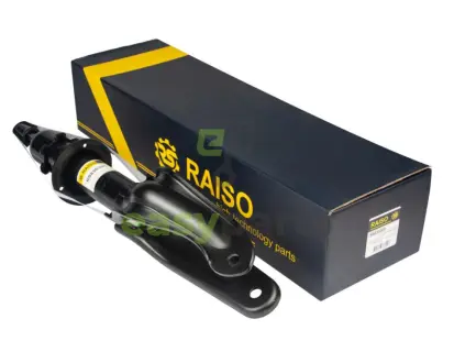 Амортизатор передній Tesla Model 3/Model Y 18- Л. (газ.) RAISO RS836300