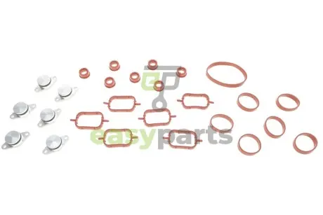 Ремкомплект колектора впускного BMW 3 (E46/E90)/5 (E39/E60)/X5 (E53/E70) 3.0d (M47) 98-11 GAZO GZ-A2136
