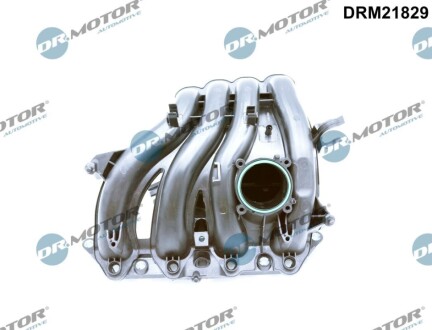 Колектор впускний DR MOTOR DRM21829