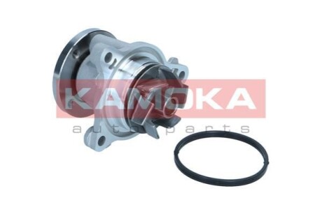 Помпа води KAMOKA T0310