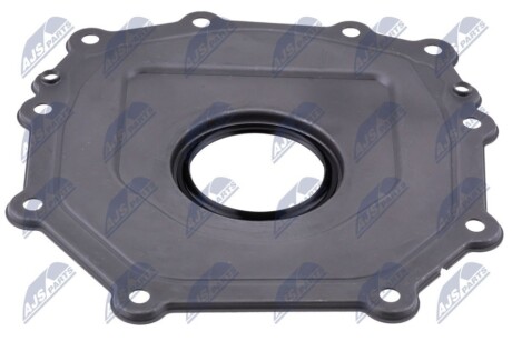 CRANKSHAFT SEAL NTY NUP-VW-017