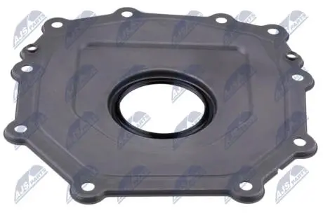 CRANKSHAFT SEAL NTY NUP-VW-017