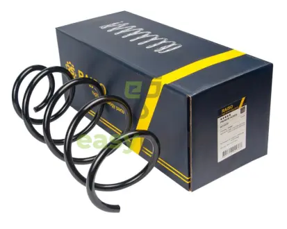 Пружина передня BMW 1 (E81/E82/E87/E88)/3 (E90/E91/E92/E93) 04-13 RAISO SF136TP