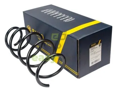 Пружина передня BMW 1 (E81/E82/E87/E88)/3 (E90/E91/E92/E93) 04-13 RAISO SF136TP