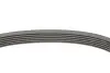 Комплект ременя генератора MB C-class (W205) 2.2D (OM651) 14-18 Contitech 6PK1642K3 (фото 2)