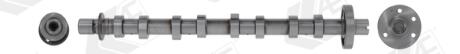 WAЈEK ROZRZҐDU ZAWORY WYDECHOWE NISSAN PRIMASTAR QASHQAI X-TRAIL/OPEL VIVARO/RENAULT ESPACE IV GRAND SCENIC II III KOLEOS LAGUNA II III LATITUDE 2,0DCI 05- AE CAM980
