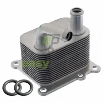 Радиатор масляный Ford Transit Connect 1.8TDCi 02-13 (теплообменник) SWAG 33100044 (фото 1)