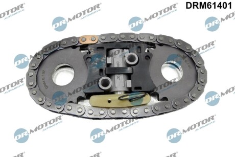 Комплект ланцюга ГРМ Iveco/Fiat Ducato 2.3JTD 06- (z=42) DR MOTOR DRM61401