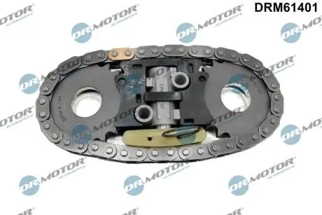Комплект цепи ГРМ Iveco/Fiat Ducato 2.3JTD 06- (z=42) DR MOTOR DRM61401
