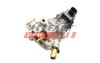 КЛАПАН EGR FIAT DUCATO 14> 16> 5-PIN 2.3 JTD EURO 6 FAST FT60247 (фото 1)