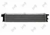 Радиатор охлаждения Audi A4-A8 2.0D-4.0 07-18 Abakus 0030170058 (фото 1)