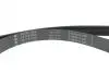 Комплект ременя генератора Renault Clio IV/Kangoo/Megane III/Scenic III 0.9/1.2 TCe 12- (7PK1605) INA 529031610 (фото 4)