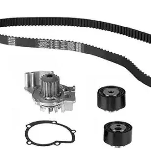 ROZRZAD KPL.Z POMPA CITROEN C5 2.2HDI 01 Metelli 3008614