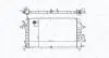 Chodnica OPEL ASTRA H/ZAFIRA B 1.9CDTi MAGNETI MARELLI 350213176100 (фото 1)