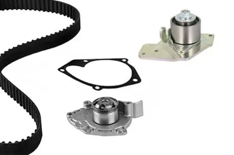 ROZRZAD KPL.Z POMPA PRIMERA 1.9DCI 02- Metelli 3010971