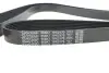 Фото 4 - ремінь генератора Honda FR-V 1.8i 07- DAYCO 7PK2170 Ремінь генератора Honda FR-V 1.8i 07- DAYCO 7PK2170 (фото 4)