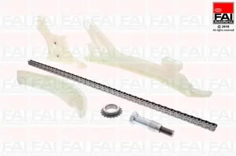 Комплект ГРМ (цепь + элементы) BMW FAI TCK229NG