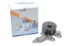 Помпа води Toyota Corolla 16-/CH-R 1.2 16- (B/B) (7 лоп) GRAF PA1365 (фото 2)