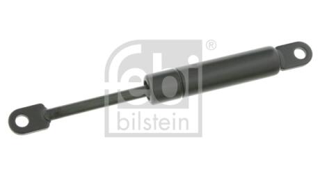 Пружний елемент, дефлектор повітря FEBI BILSTEIN 24838