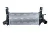 INTERCOOLER NISSAN NAVARA 2.5 05- NRF 309129 (фото 1)