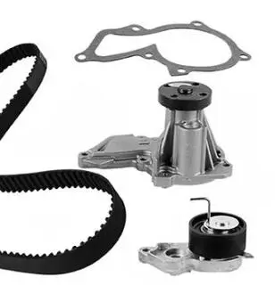ROZRZAD KPL.Z POMPA FORD 1.25 03- Metelli 3006121
