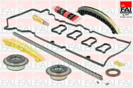 Комплект ГРМ (цепь + элементы) FAI TCK101VVT