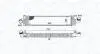 Intercooler FORD FOCUS II/C-MAX MAGNETI MARELLI 351319204980 (фото 2)